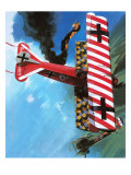 Fokker D Vii