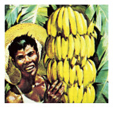 Bananas