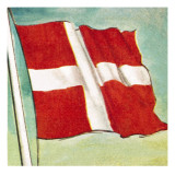 The Danish Flag