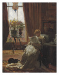 A Quiet Afternoon