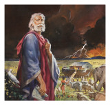 Noah's Ark