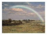 After the Storm