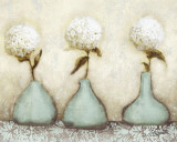 Hydrangea I