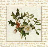 Season Flower