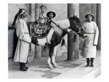 Emperor Guanxhu