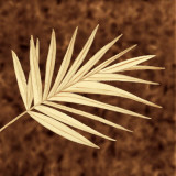 Tropical Leaves III