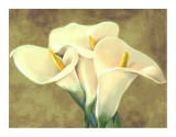Callas