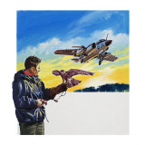 Falcon Flight
