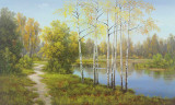 Light in the Forest