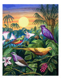 Tropical Sunbirds