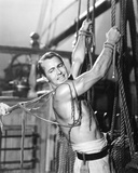 Alan Ladd