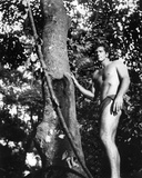 Ron Ely - Tarzan