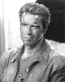 Arnold Schwarzenegger