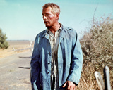 Paul Newman