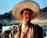 Eli Wallach