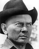 Yul Brynner - Westworld
