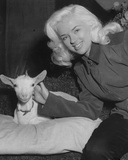Diana Dors