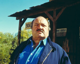William Conrad - Cannon