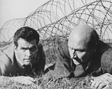 The Great Escape
