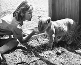 Virginia McKenna - Born Free