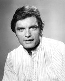 David Selby - Falcon Crest