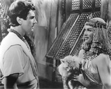 The Egyptian