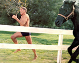 The Swimmer