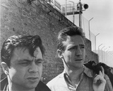 In Cold Blood