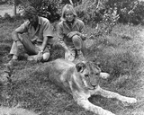 Born Free