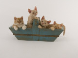 Selkirk Rex