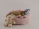 Selkirk Rex