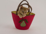 Selkirk Rex
