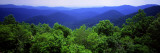 Smoky Mountain National Park  Tennessee  USA