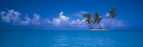 Island  Caribbean