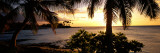 Kohala Coast  Hawaii  USA