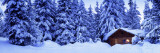Lost Lake Cabin  British Columbia  Canada