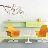 Apple Cherry Blossoms Branch