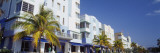 Palm Trees in Front of Buildings  Art Deco Hotels  Ocean Drive  Miami Beach  Florida  USA