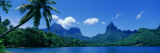 Lush Foliage and Rock Formations  Moorea Island  Tahiti