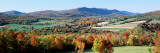 Fall Trees  Danby  Vermont  USA