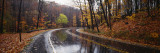 Rainy Road in Autumn  Euclid Creek  Parkway  Ohio  USA