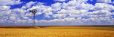 Windmill Wheat Field  Othello  Washington State  USA