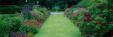 Gardens at Levens Hall  Cumbria  England  United Kingdom