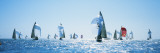 Sailboat Race  Key West Florida  USA