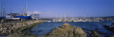 Boats Docked at a Harbor  Marina  Monterey  California  USA