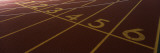 Track  Starting Line