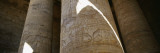 Low Angle View of Stone Columns  Great Hypostyle Hall  Temple of Horus  Edfu  Egypt