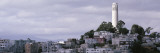 Coit Tower on Telegraph Hill  San Francisco  California  USA