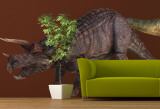 Triceratops