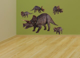 Triceratops Layout